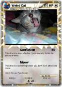 Weird Cat