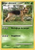 berger allemand