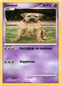 boerboel