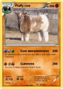 Fluffy cow