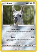 Lama
