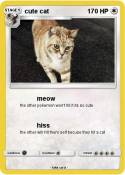 cute cat
