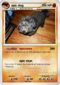 epic dog