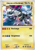 Zekrom et Rechi
