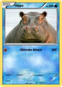 Hippo