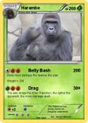 Harambe