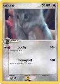cat gray