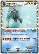 tigre blanc