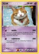=) cat
