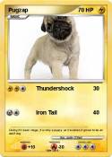 Pugzap