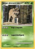berger allemand