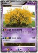 BUSH