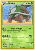 torterra