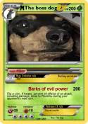 The boss dog
