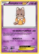 Pumpkin cat