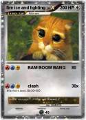 fire ice and