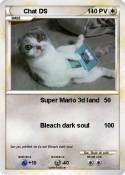 Chat DS