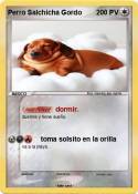 Perro Salchicha