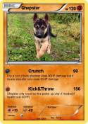 Shepster
