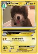 Tucker