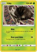 Kitty