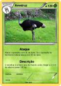 Avestruz