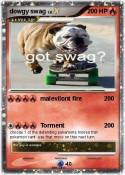dowgy swag