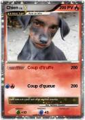 Chien