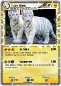 tigre blanc