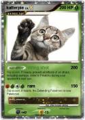 katterpie