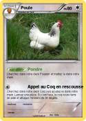 Poule