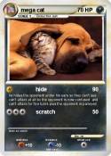 mega cat