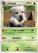 choupinet