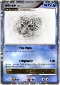 animaux