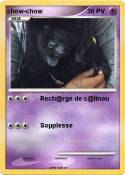 chow-chow