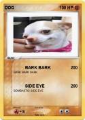DOG