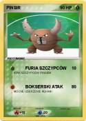 PINSIR