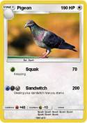 Pigeon