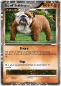 Big ol' Bulldog