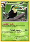 Toucan Dude