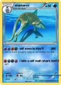 sharkaroo