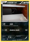 STAlKER CAT
