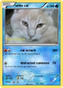 white cat