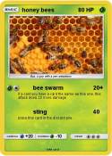 honey bees