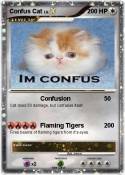Confus Cat