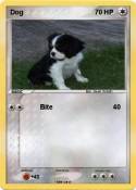 Dog