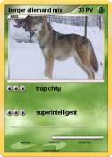 berger allemand