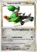 Yoshi et son YS