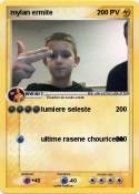 mylan ermite