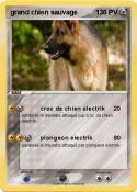 grand chien